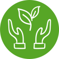 Hands holding a plant.