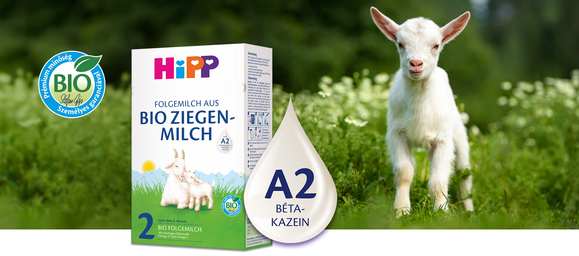 Egy fehér kecske áll egy zöld, fehér virágokkal borított réten, egy doboz bio kecsketej mellett.