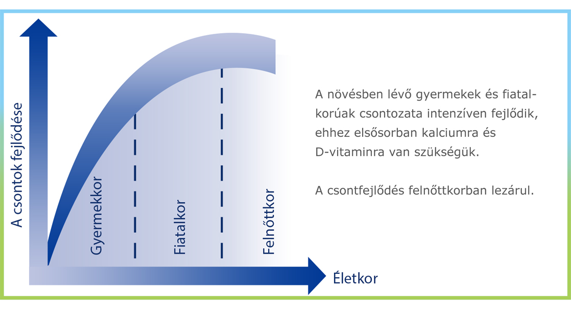 Egy strukturált táblázat, amelynek négy része a "Gyermekkor", "Fiatalkorr", "Felnottkor" és "Életkor" feliratú, a jobb oldalon pedig egy szöveges leírás található.