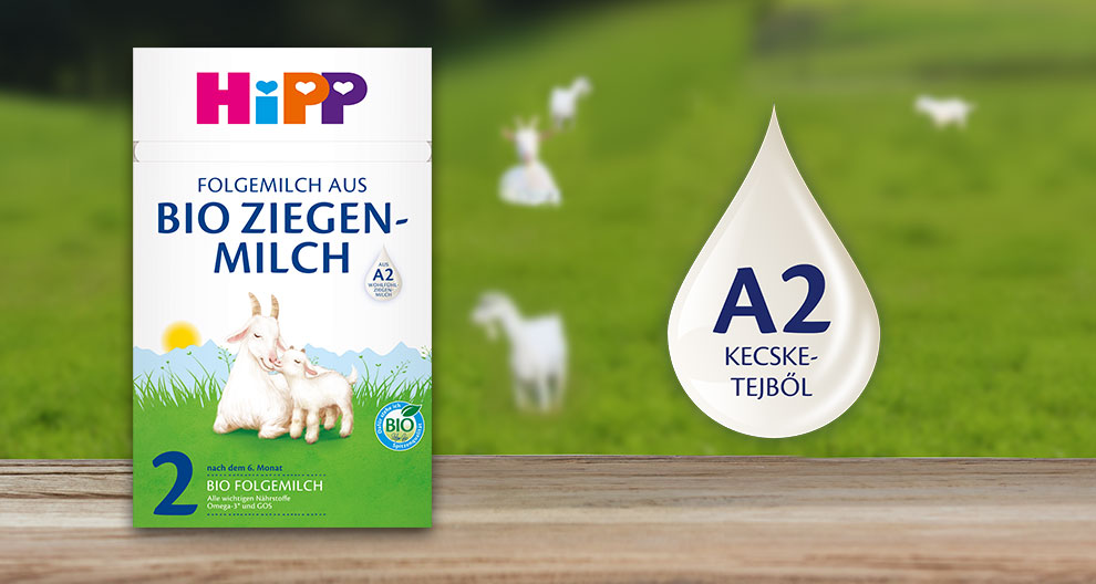 A "Hipp" feliratú termékdoboz egy kecskeillusztrációval és a "Folgemilch aus Bio Ziegenmilch" szöveggel egy fafelületre van helyezve, a háttérben egy zöld mező elmosódott képe látható legelésző kecskékkel.