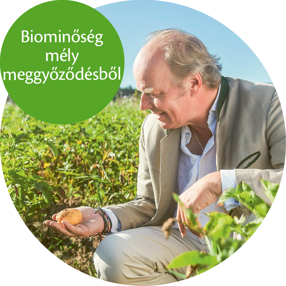 Egy bézs színű öltönyös férfi térdel egy mezőn, kezében egy sárga gyümölcsöt tart, a háttérben egy zöld buborék fehér szöveggel.