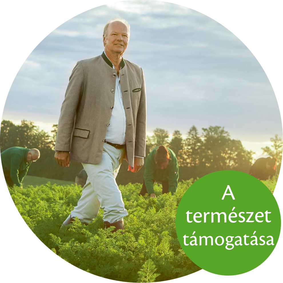 Egy világos kabátot és fehér nadrágot viselő férfi sétál egy mezőn, a háttérben három ember görnyedten.