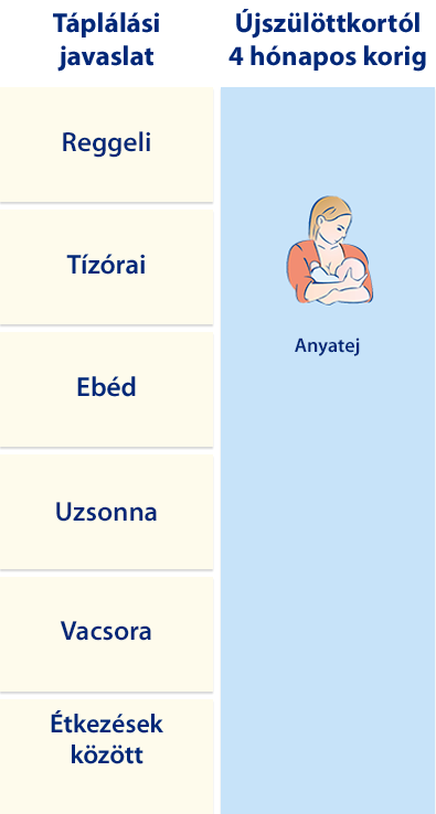 A bal oldalon hat tétel felsorolása, jobb oldalon egy-egy megfelelő illusztrációval, köztük egy csecsemőt szoptató nő ábrázolásával.