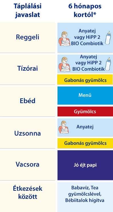 Egy strukturált táblázat a "Tipikai idoaldal" és a "6 hongapos kertolc" című oszlopokkal, amelyek a különböző tevékenységeket vagy feladatokat a megfelelő idősávok mellett sorolják fel.